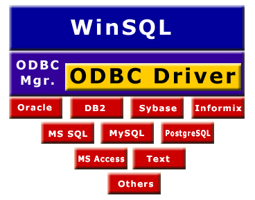 The server computes the results and sends them back to WinSQL through the driver.