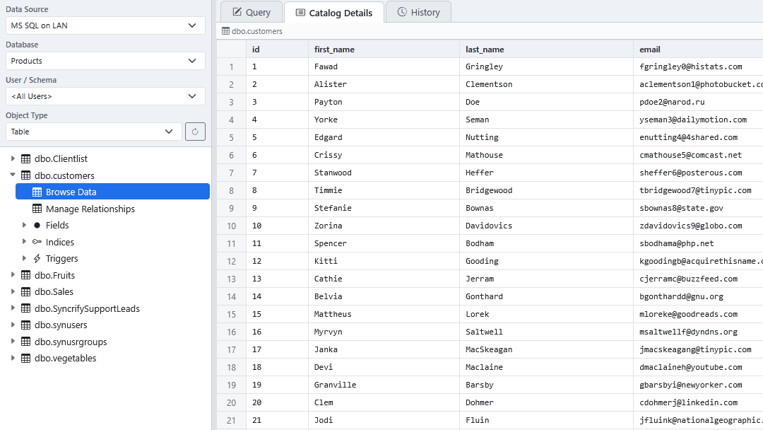 The Catalog Details tab showing a table's data.