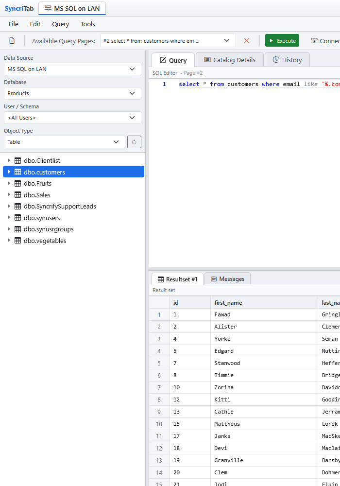 The catalog pane with drop-downs for data source, database, schema, and object type, and a tree of tables.