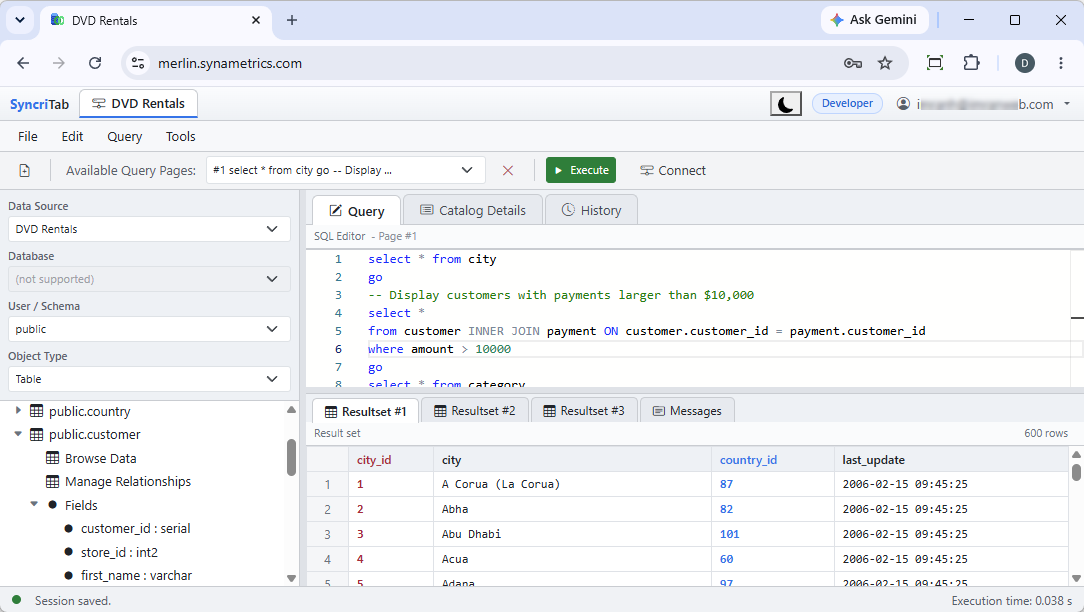 The SyncriTab query workspace with the catalog on the left, a SQL query in the editor, and results in a grid below it.