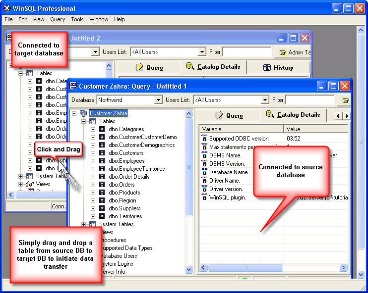 Drag and drop table from Microsoft Excel to 
Netezza 