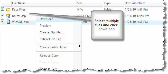 download multiple files