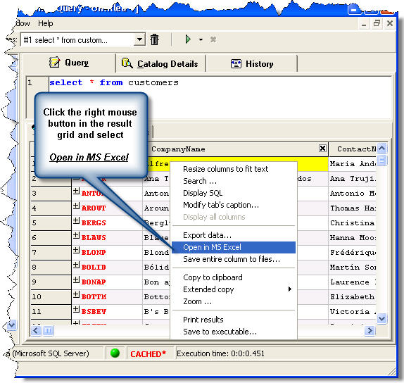 Sql server excel